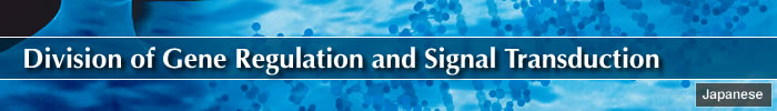 Division of Gene Regulation and Signal Transduction