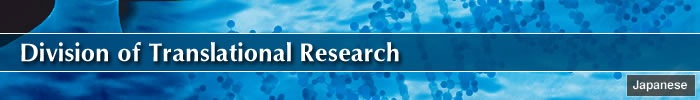 Division of Translational Research