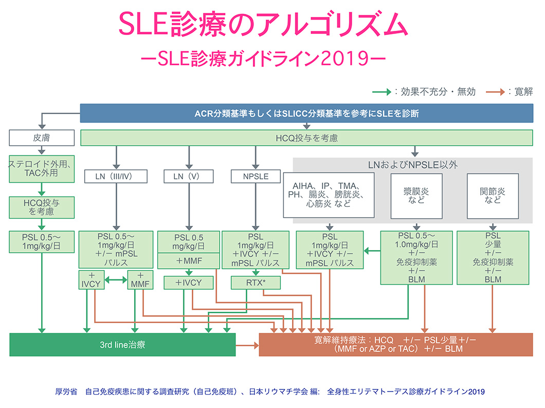 図5. SLE診療アルゴリズム日本リウマチ学会2019年