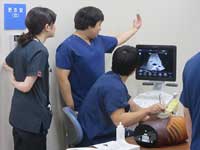 腹部超音波・消化器内視鏡 実践セミナー