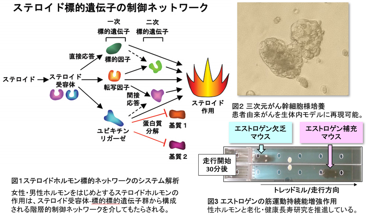 ゲノム応用医学②
