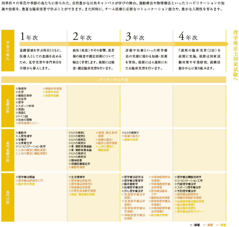 理学療法学科カリキュラム