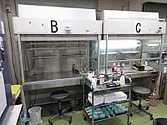 クリーンベンチ3台(A,B,C)