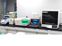 Digital PCR