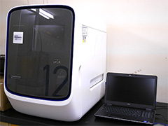 リアルタイムPCR