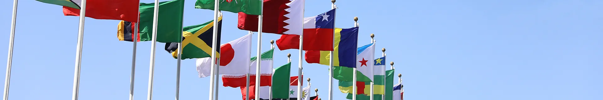 国際交流