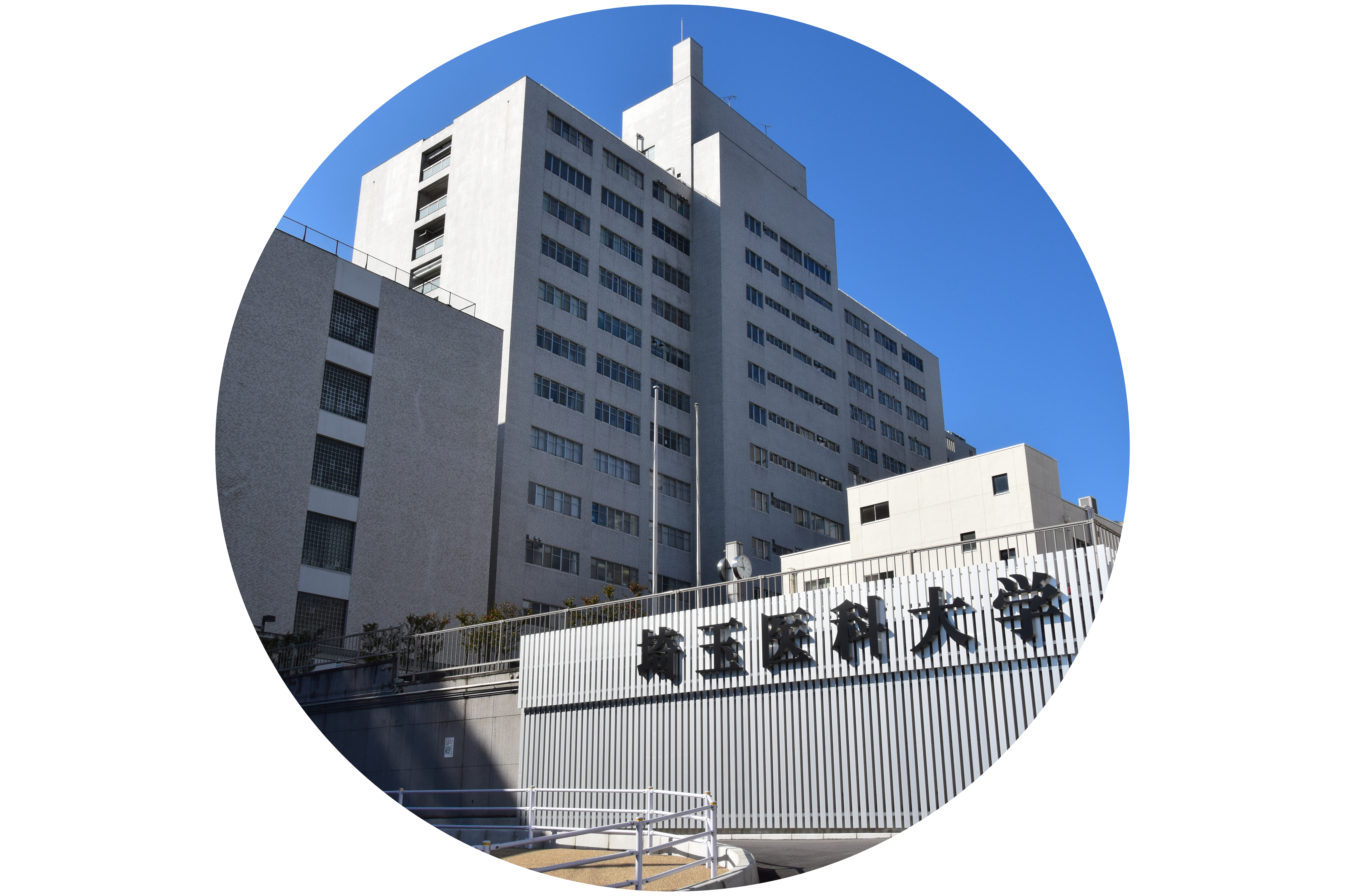 名称未設定のデザイン (6)