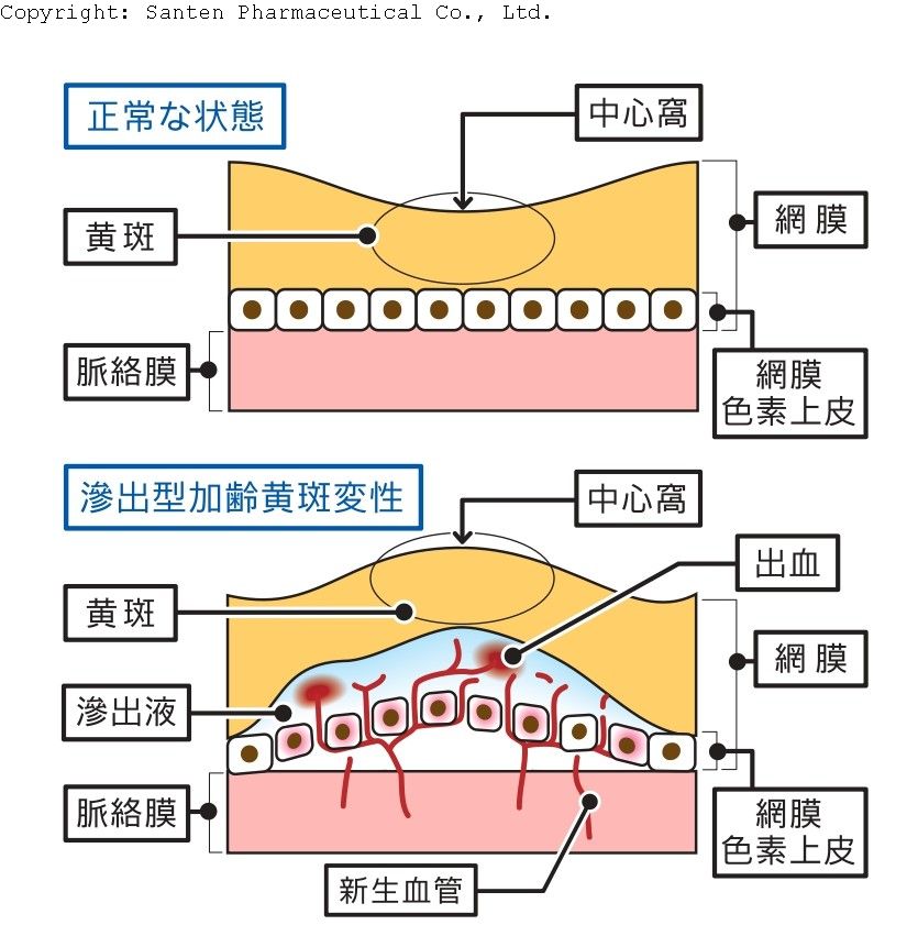 図7