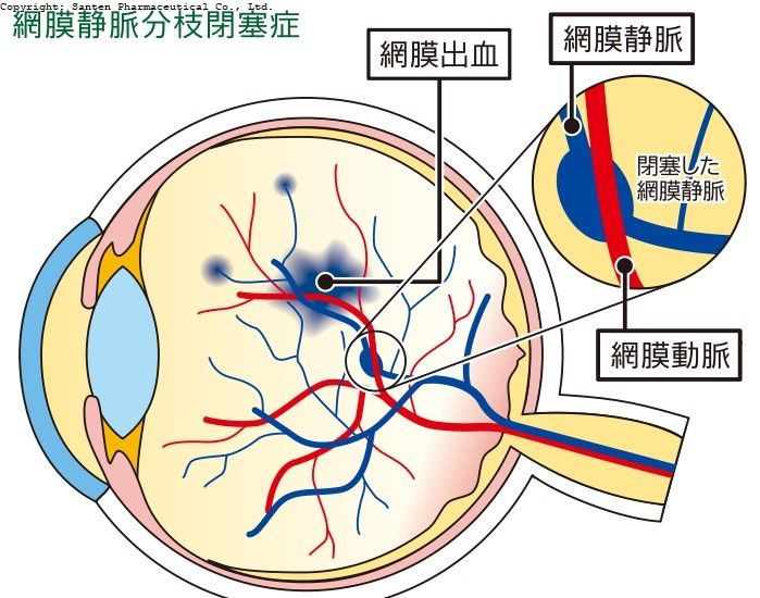 図10