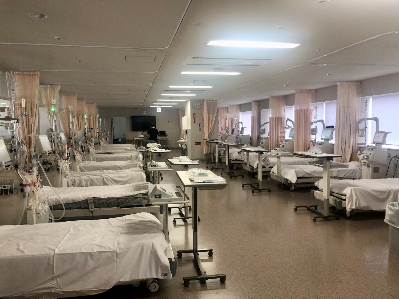 血液浄化ユニット