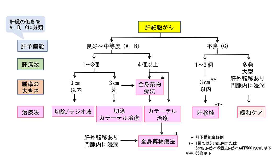 図1　肝細胞癌の治療法の選択