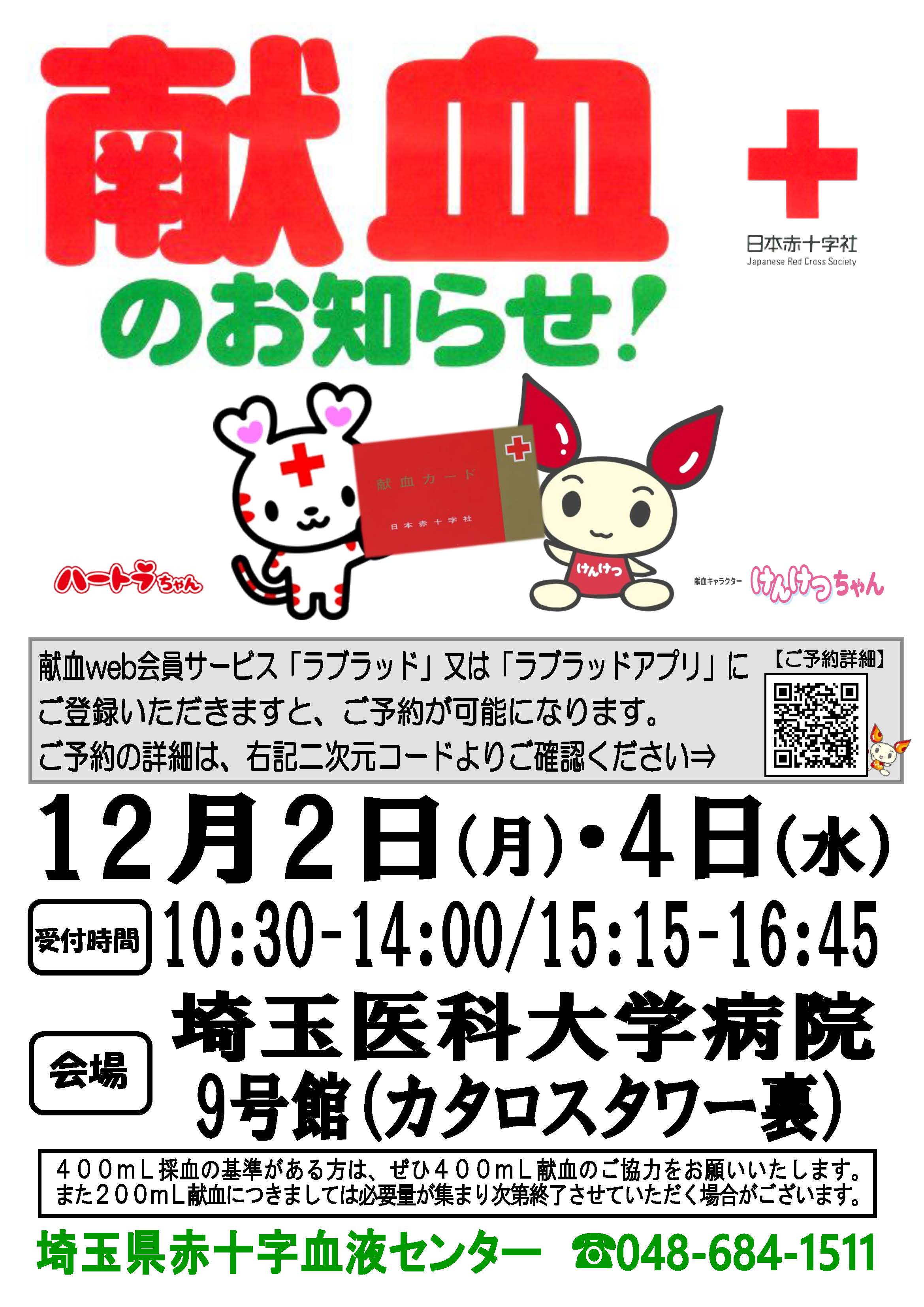 とーちゃん トゥインクルトーズ：スケッチャーズ トゥインクル スパークス