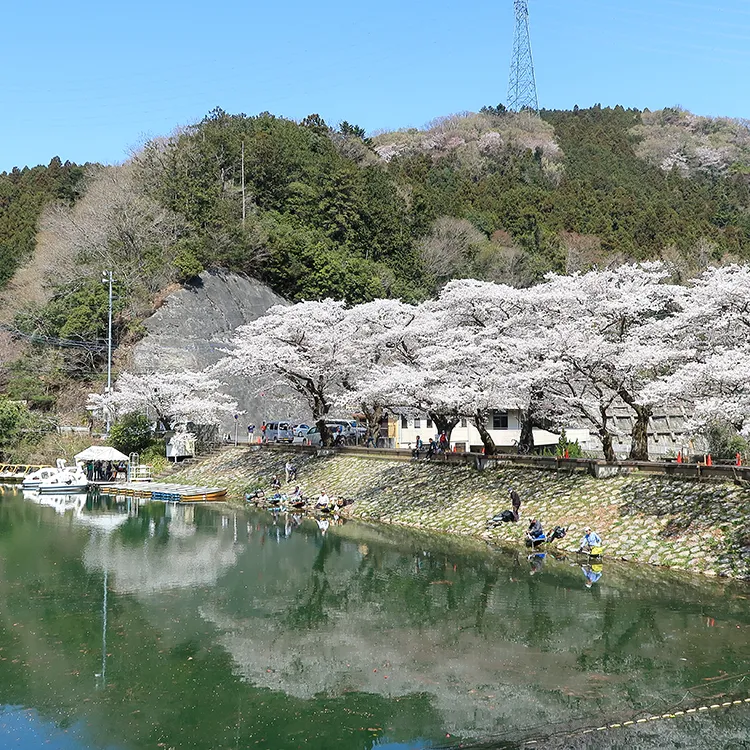 ★鎌北湖
