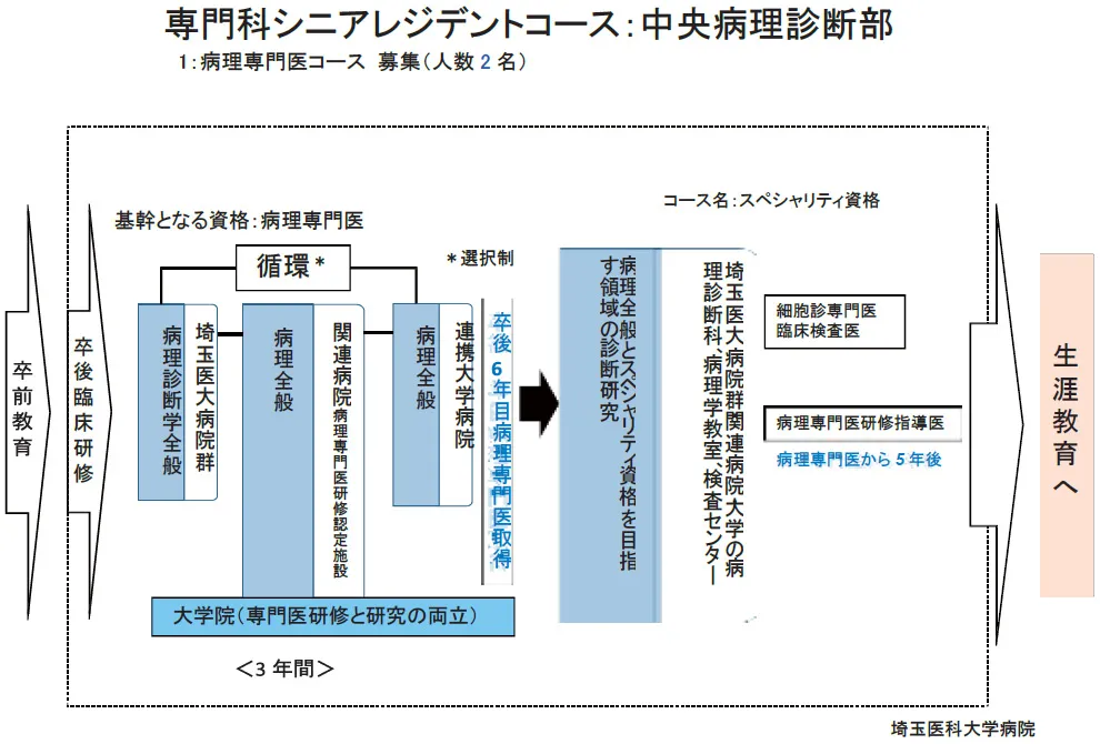 病理_キャリアパス