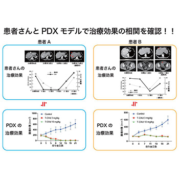 ハーブでガンの完全治癒 希少がんの子宮がん肉腫で抗HER2療法の有効性を確認～希少がんの治療