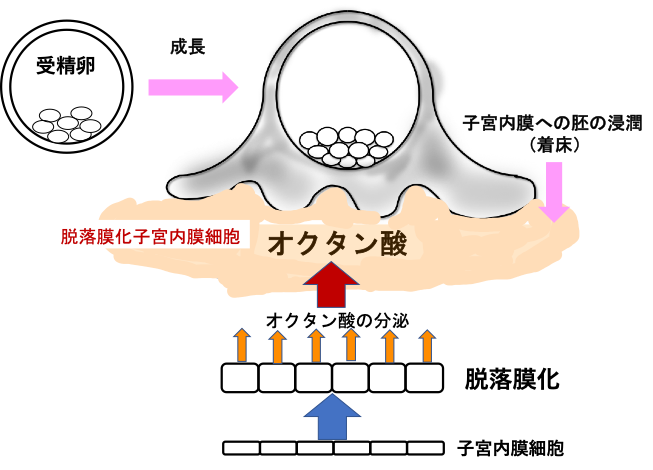 図