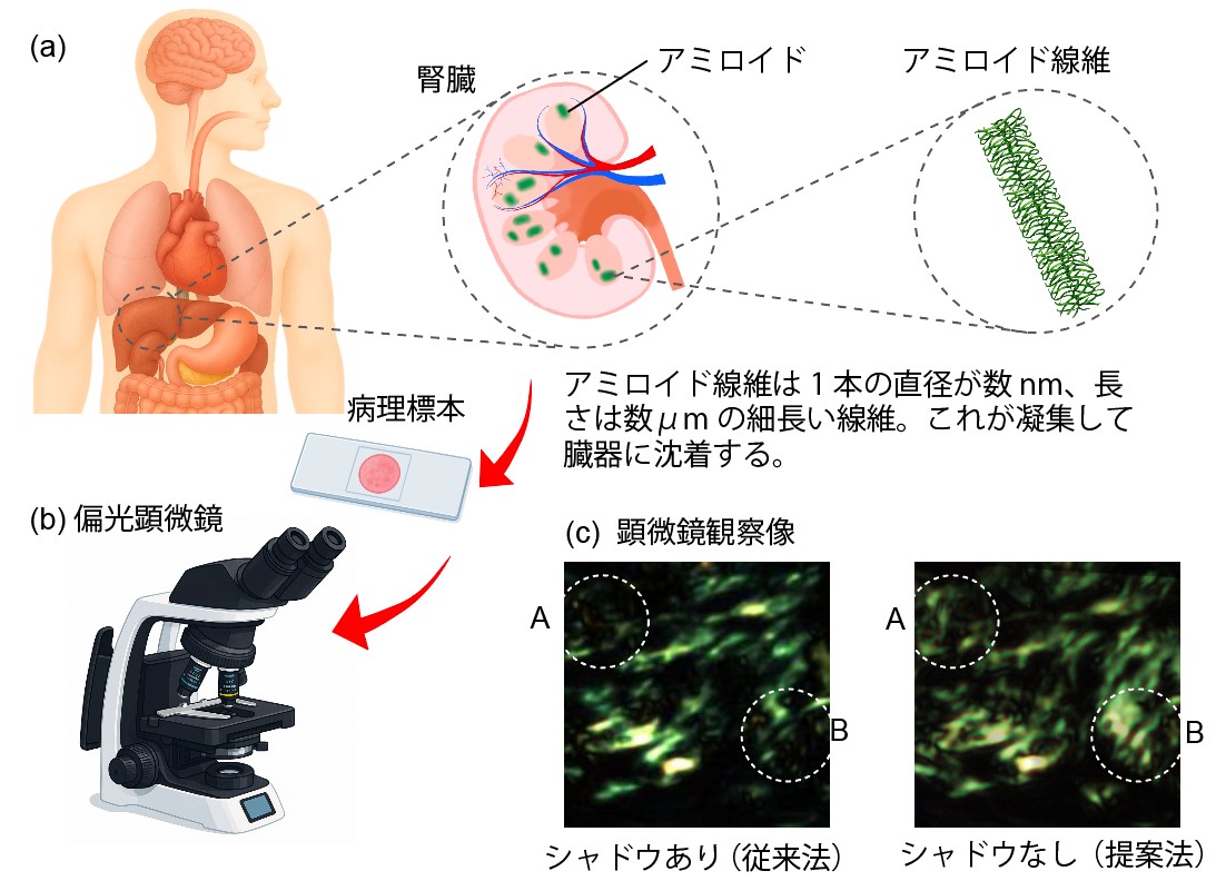 本研究の概要