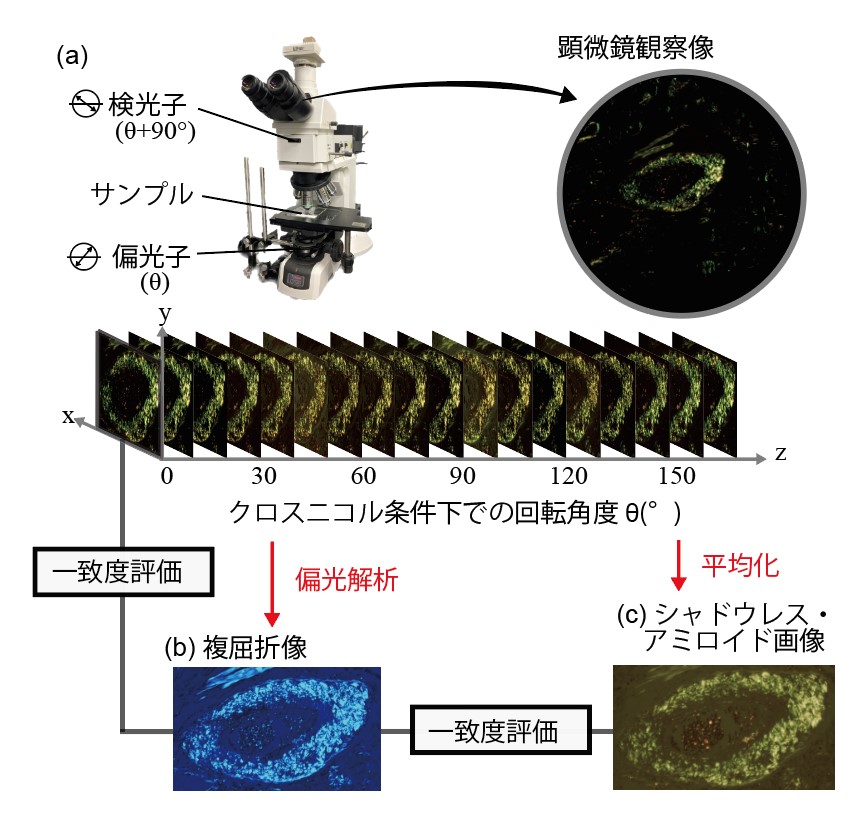 研究の方法