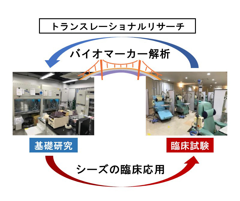 トランスレーションリサーチ