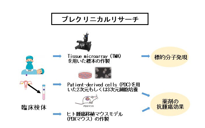 プレクリニカルリサーチ