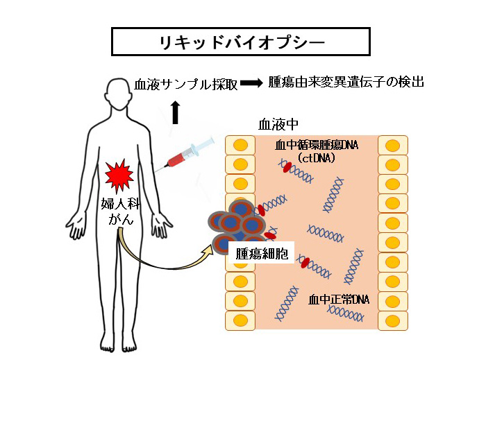 プレクリニカルリサーチ