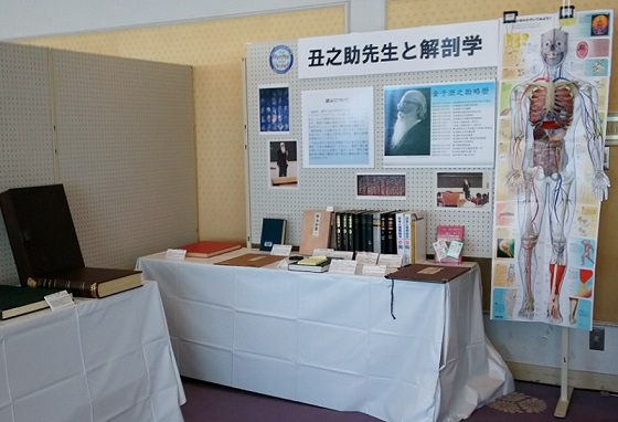 展示の様子