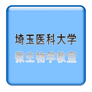 T@v 