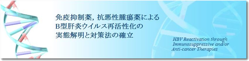 HBV再活性化研究