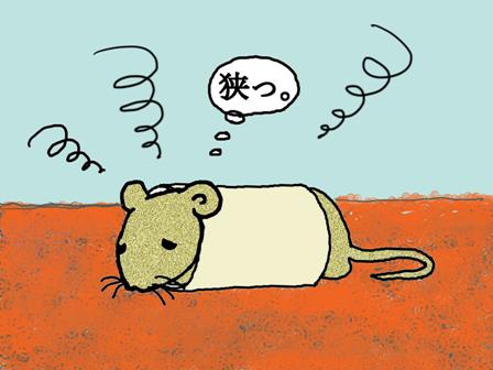 cuty-mouse_1.bmp